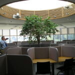 13c33c70ed34be7b5666a7d6110ea1c1